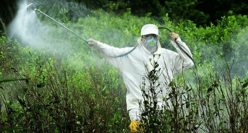 La Sociedad Rural irá a la Justicia por la prohibición al glifosato en Misiones