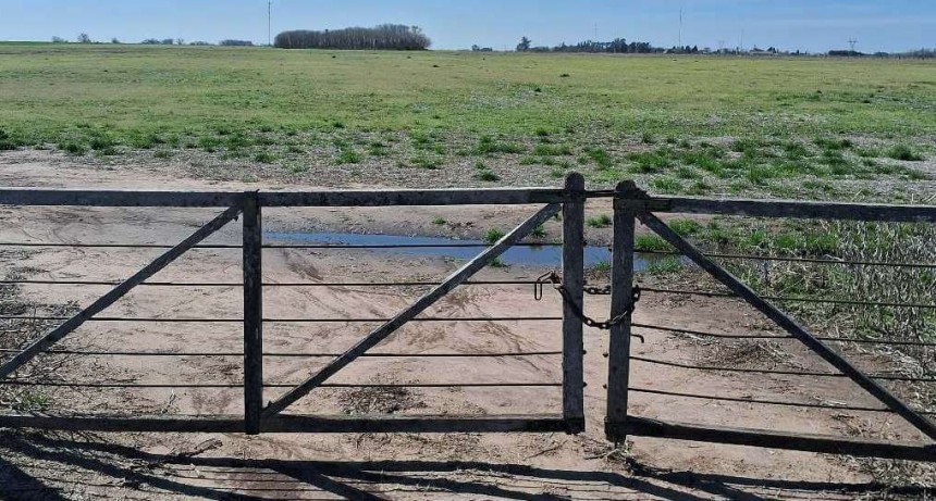 Lluvias espaciadas en el tiempo y altas temperaturas: lo que viene en una campa&ntilde;a con &ldquo;Ni&ntilde;a tard&iacute;a&rdquo;