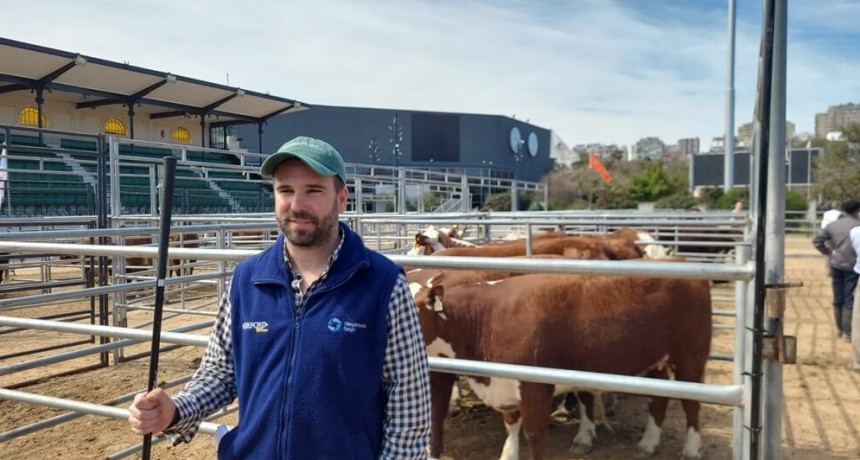 Genética bovina: un jurado cuenta los secretos a la hora de la selección de los mejores animales