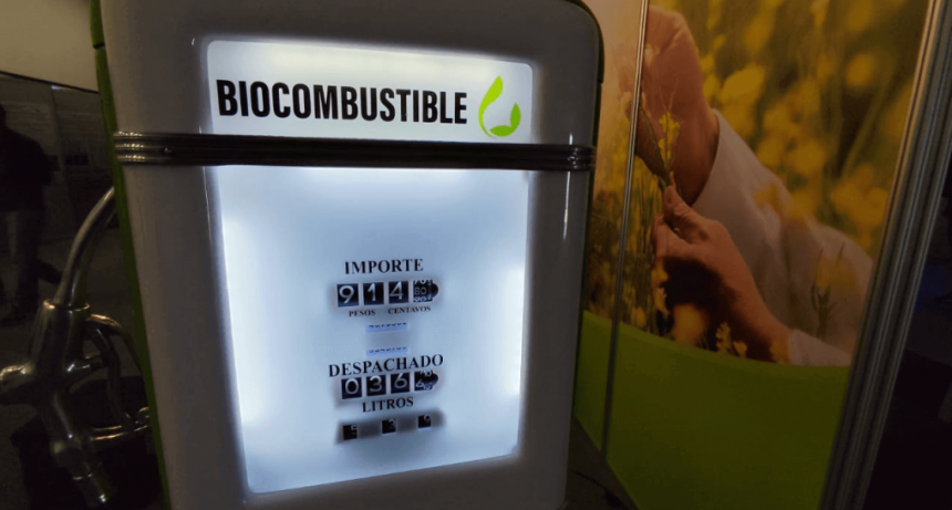 Un avión que no pasará dos veces: el agro argentino tiene todo para despegar con los “biofuels”