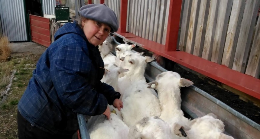 Naci&oacute; en la ciudad, pero se enamor&oacute; del campo y hoy hasta insemina ovejas: &ldquo;En el fondo, est&aacute;s creando vida&rdquo;