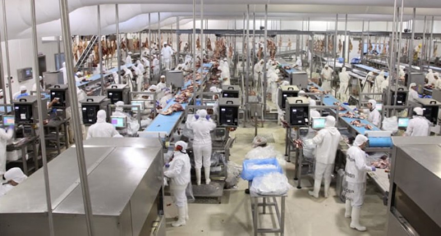 Con Chile y Europa como mercados destacados, las exportaciones de carne vacuna mantienen buen ritmo