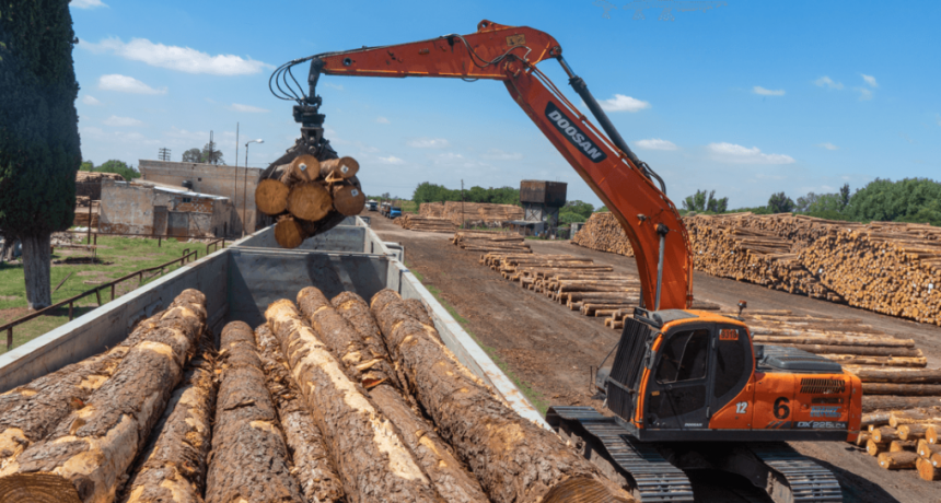 La cadena forestal reclama mejoras logísticas para impulsar más inversiones