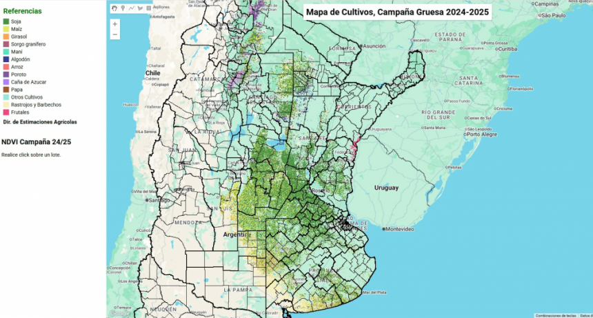 “Mapa de Cultivos”: una nueva herramienta digital para conocer al detalle la producción agrícola argentina