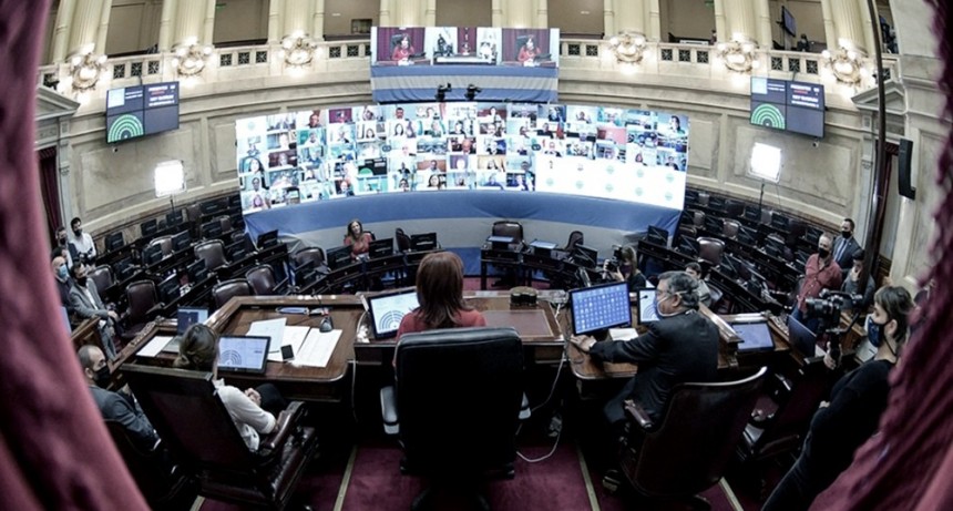 Después de un año y medio, el Senado vuelve a las sesiones presenciales