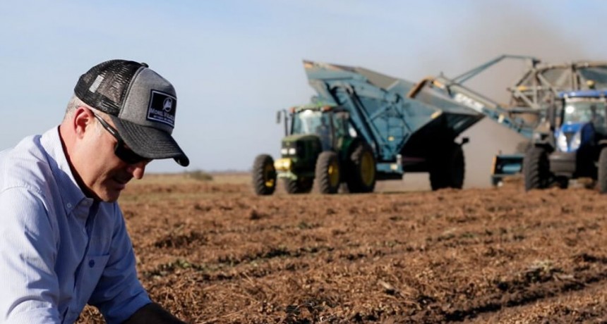 Con manejo agron&oacute;mico y agregando valor, la empresa familiar cordobesa que potenci&oacute; sus negocios