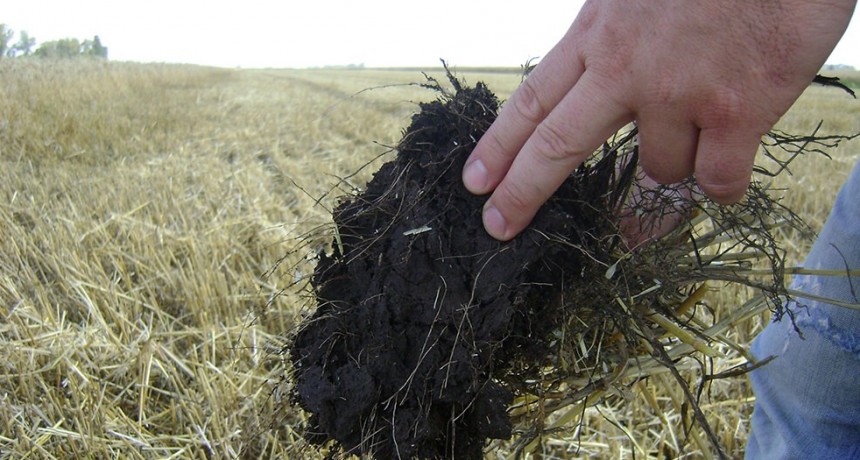 En Buenos Aires, entregaron los primeros certificados de buenas prácticas agrícolas