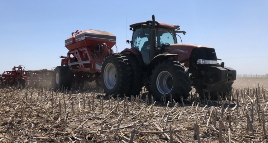 Alivio para los suelos: el uso de la siembra directa repuntó en la última campaña