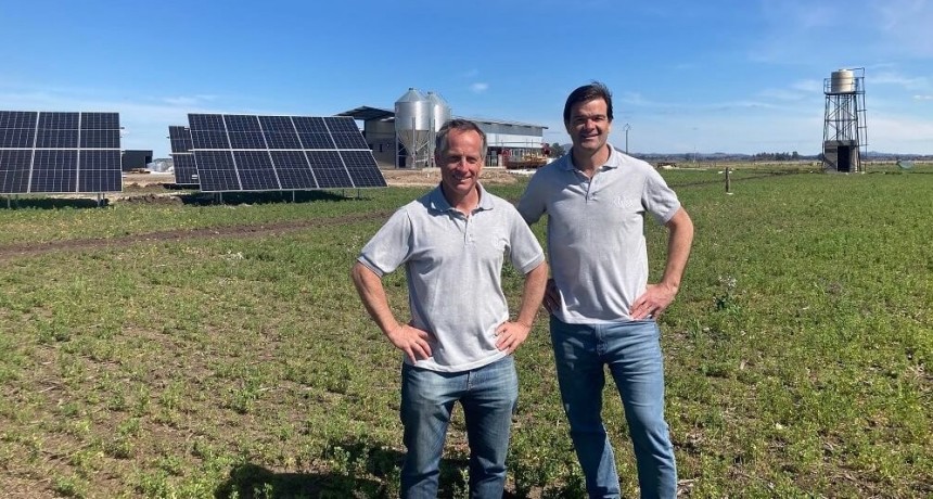 Con robots y paneles solares, “La Colorada” ordeña en Tandil 30 litros diarios por vaca