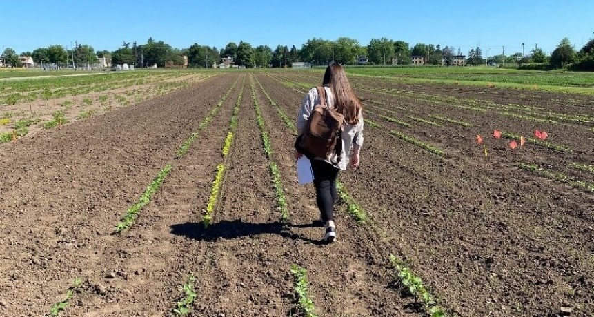 De Argentina a Minnesota: cómo es el programa que busca jóvenes para trabajar en campos de EE.UU.