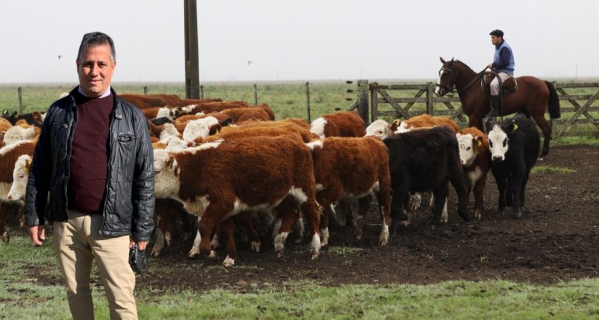 BIOMAH S.R.L: Tu aliado para obtener los productos “MISION-AR VIRUS SHIELD” los cuales cuidan tu ganado 