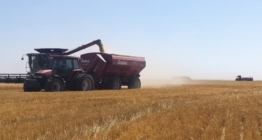 La economía ya sufre la pérdida de U$S 1.500 millones por la sequía