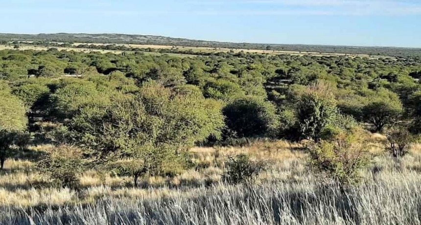Polémica con el campo en La Pampa por el proyecto de creación de un parque nacional