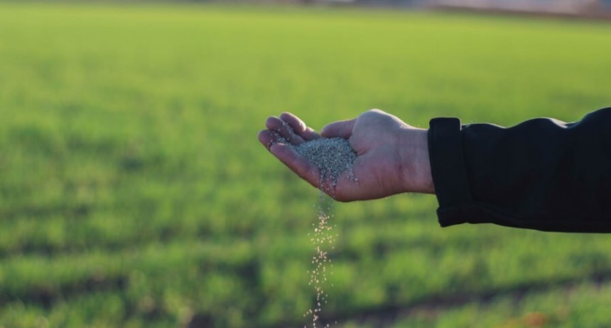 Día Mundial de los Fertilizantes: ¿podría sobrevivir la humanidad sin nitrógeno de síntesis química?