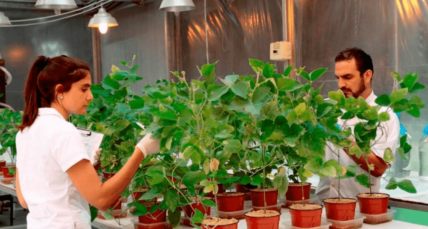 Productos biológicos: un mercado que crece 15% por año en Argentina