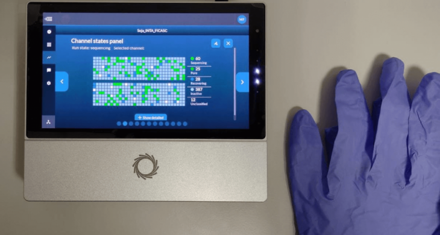 Un nuevo hito de la ciencia argentina: descifraron el genoma completo de una soja no transgénica