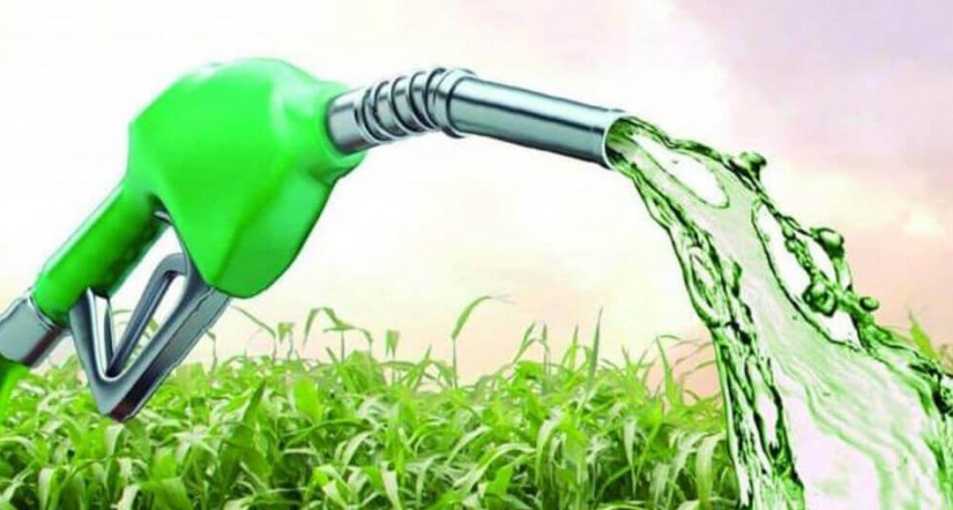 Ante la crisis de los combustibles, la cadena del maíz volvió a insistir por un mayor uso de bioetanol