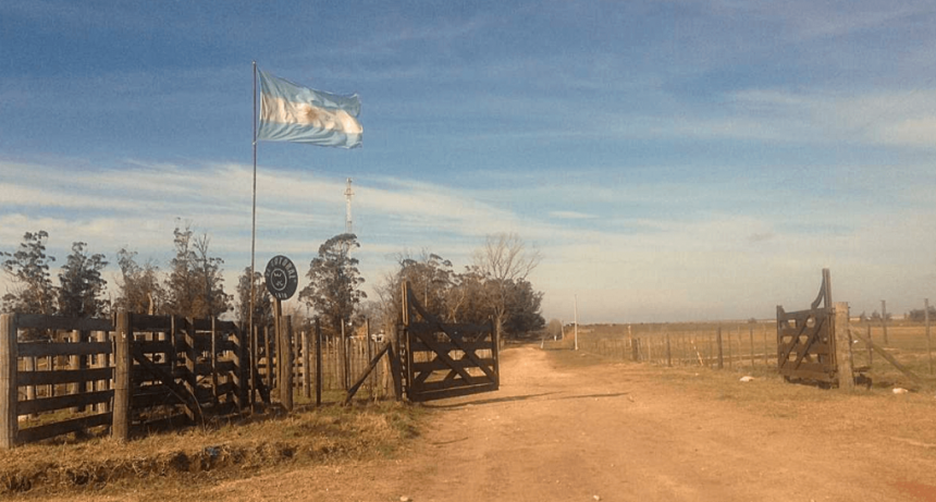 ¿Cuántos agregados agrícolas necesita Argentina?: exportadores piden “duplicarlos y sumar destinos”