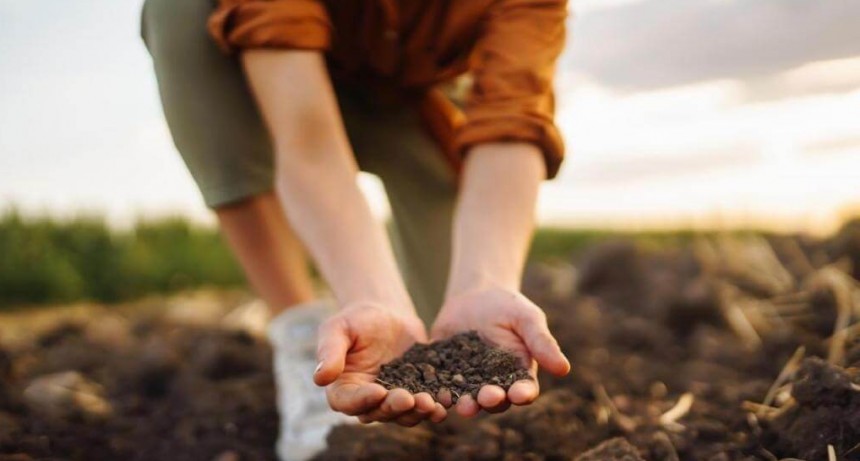 Sustentabilidad: en el campo argentino, reducir la huella de carbono ya es una “especialidad”