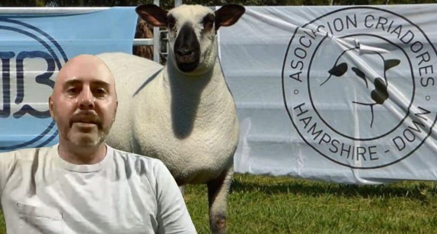 La Unión hace la fuerza: desde Cañuelas, Luis sueña con ser campeón mundial con sus ovinos