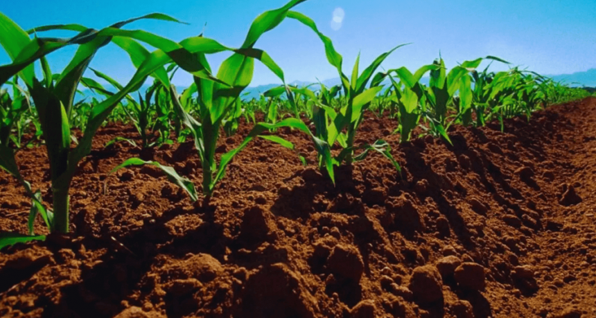 Cambio climático: “La cadena agroindustrial argentina fue, es y seguirá siendo parte de la solución”
