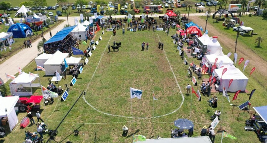 La ganadería tuvo su gran evento de la mano de Expoagro