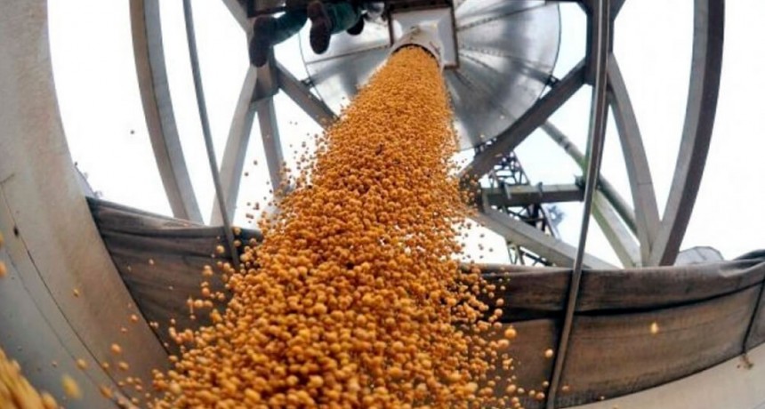 ¿Cambio de clima? Preparate para hablar sobre los cambios que vienen para el agro