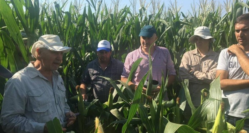 Cincuenta productores avanzan en la tokenización de la producción