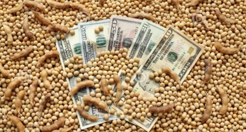 El post “dólar soja”: octubre marcó la menor liquidación de divisas en 2 años y medio