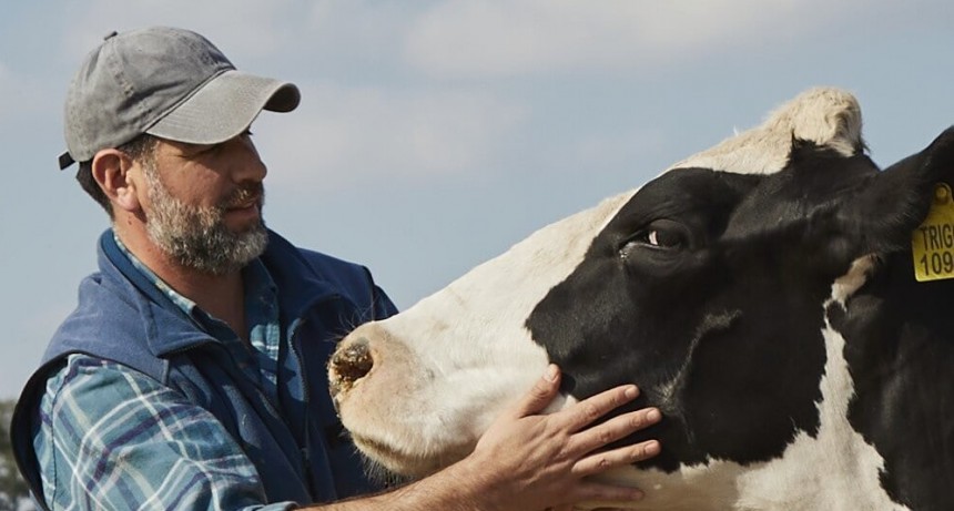 Con “QR de bienestar animal”, ya se comercializa leche certificada con este sello en Argentina