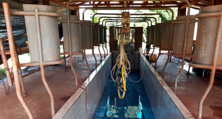 La Federación Agraria apuntó contra el Gobierno por “la crisis terminal” de la lechería