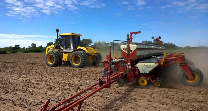 Agricultura de precisión: cómo es la nueva web del INTA para evaluar la calidad de siembra