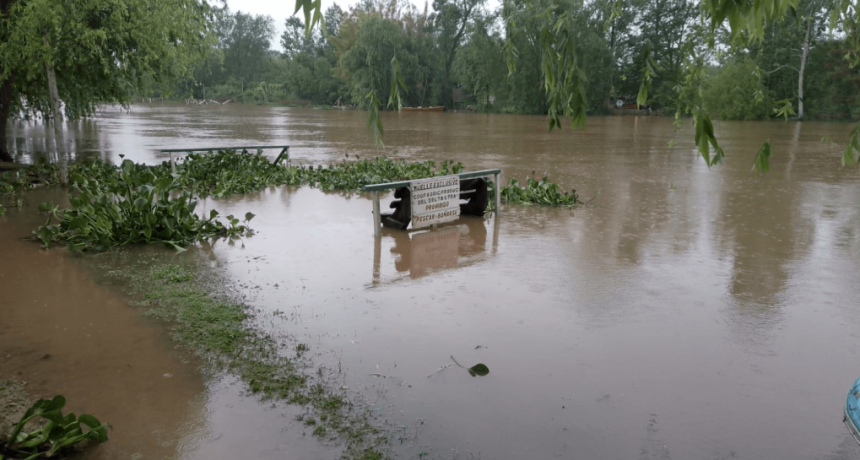 Inundaciones: piden medidas de emergencia para rescatar miles de cabezas de ganado en Entre Ríos
