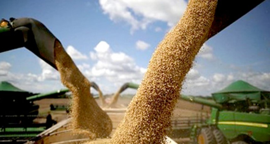 Otro dato inédito que dejó la sequía: Argentina, el segundo mercado de exportación de la soja brasileña