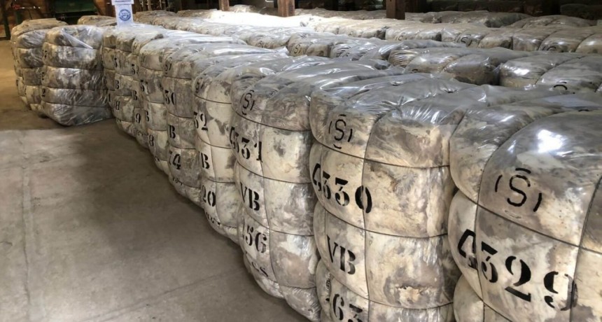 Luego del reclamo de productores ovinos, y a 48 horas del balotaje, asignaron pagos por el Plan Lanar