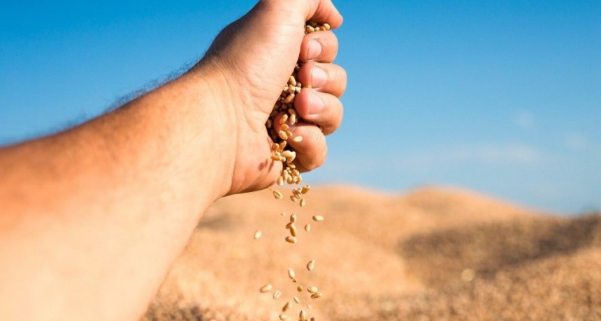 La cadena de las semillas germina su segundo congreso argentino en Córdoba