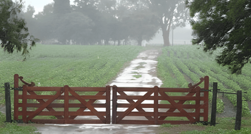 Se cumplió el pronóstico de fuertes lluvias y la campaña 2024/25 se inunda de buenas expectativas