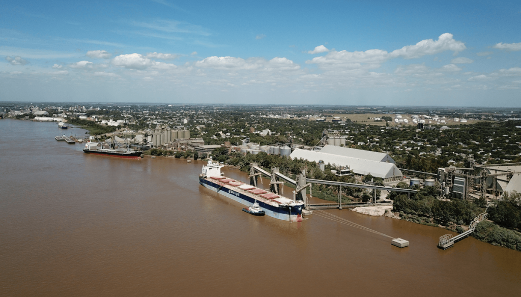 El trigo es un verdadero “boom”: aún no inició la campaña comercial y ya hay récord de embarques