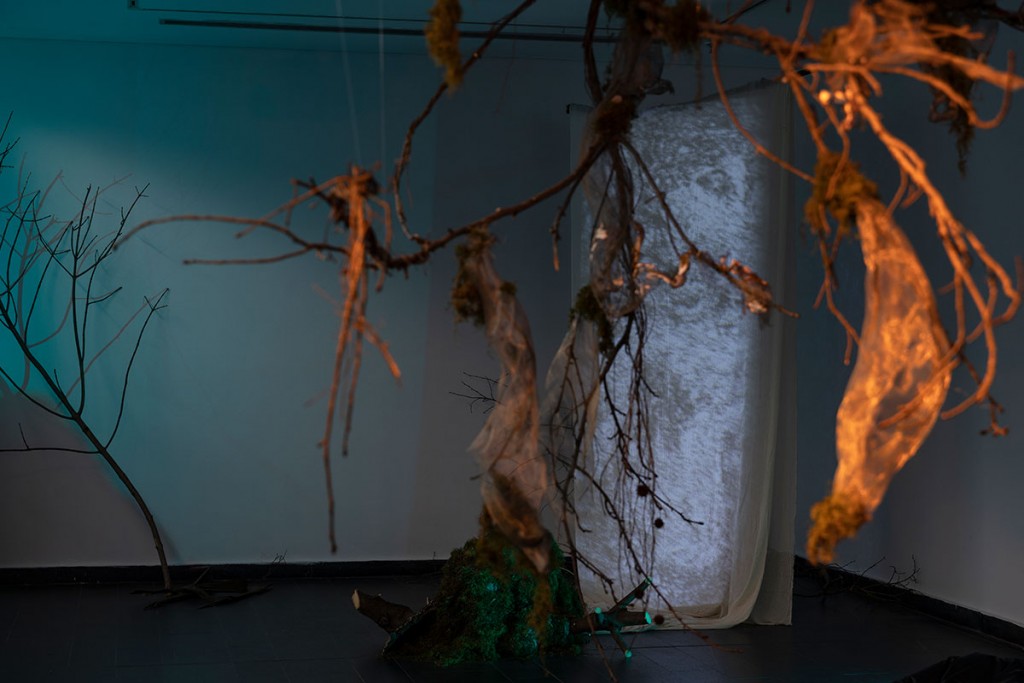 El despertar del bosque: activación sonora en vivo