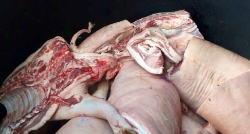 Faenaron cerdos sin autorización y el Senasa decomisó 22.500 kilos de carne