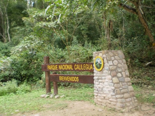 El Parque Nacional Calilegua propone un encuentro con la selva y la cosmovisión guaraní