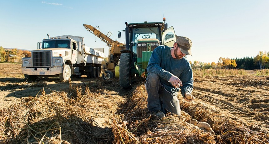El suelo, en tiempos de agricultura digital y tecnología variable