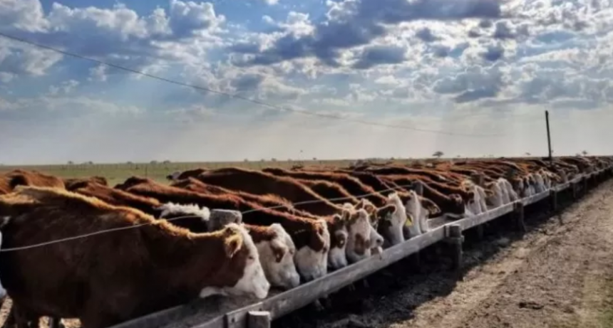  El Gobierno presentó su plan ganadero, con un ojo puesto en la exportación y otro en los precios 
