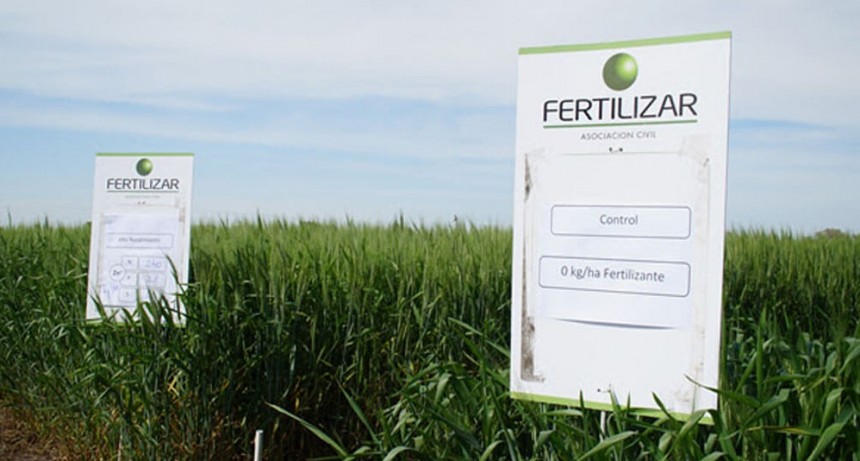 Con fertilización de alto rendimiento lograron 30% más de rindes