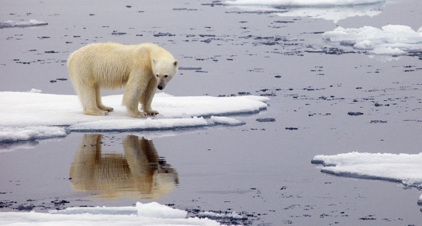 El récord de calor en el Ártico 