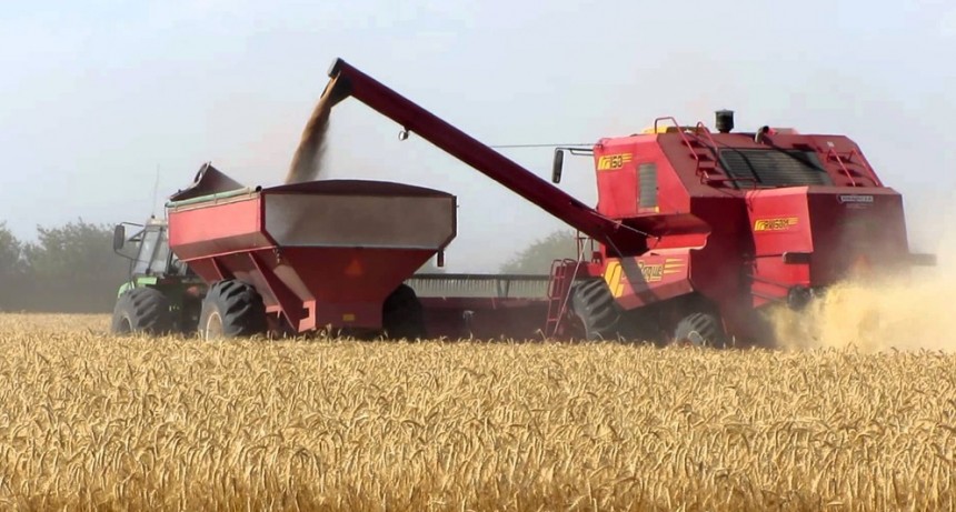 Avanza la cosecha de trigo y cebada, y los rindes siguen sorprendiendo