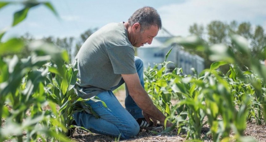 La nueva edición de Semillero del Futuro tiene ganador: Fundación 500 RPM