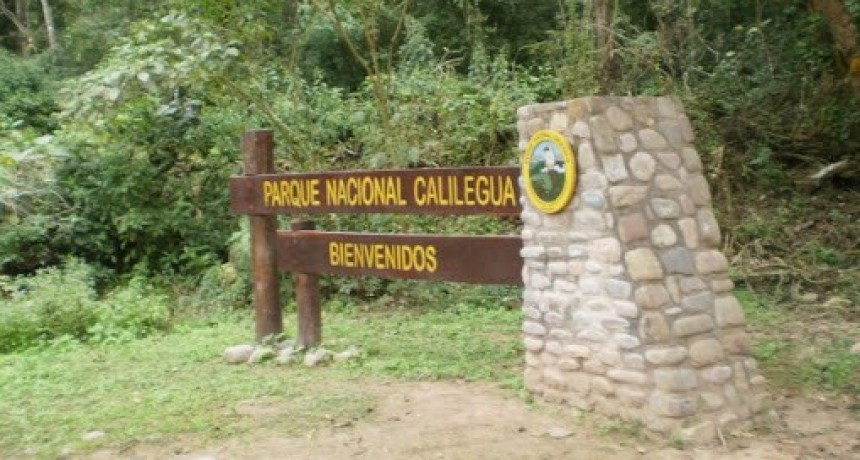El Parque Nacional Calilegua propone un encuentro con la selva y la cosmovisión guaraní
