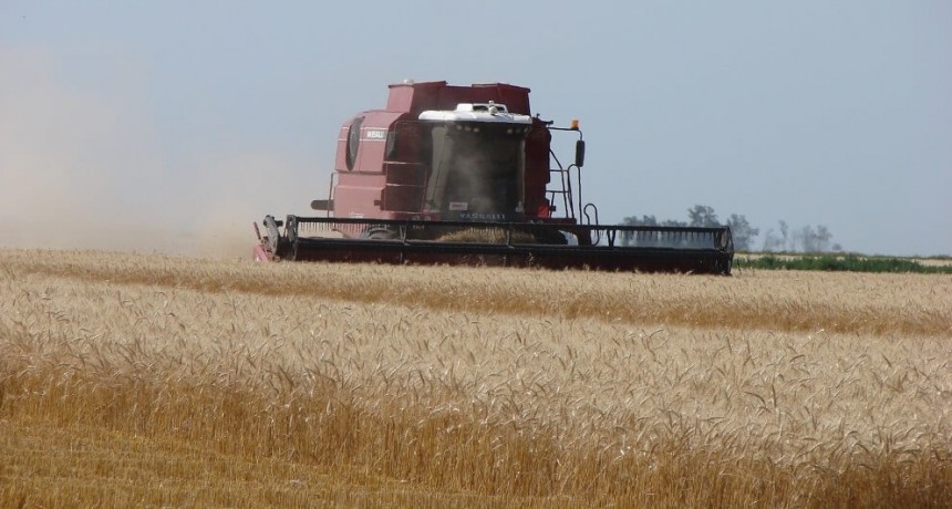 Alimentos: la inflación argentina, a contramano de la estabilidad de precios global