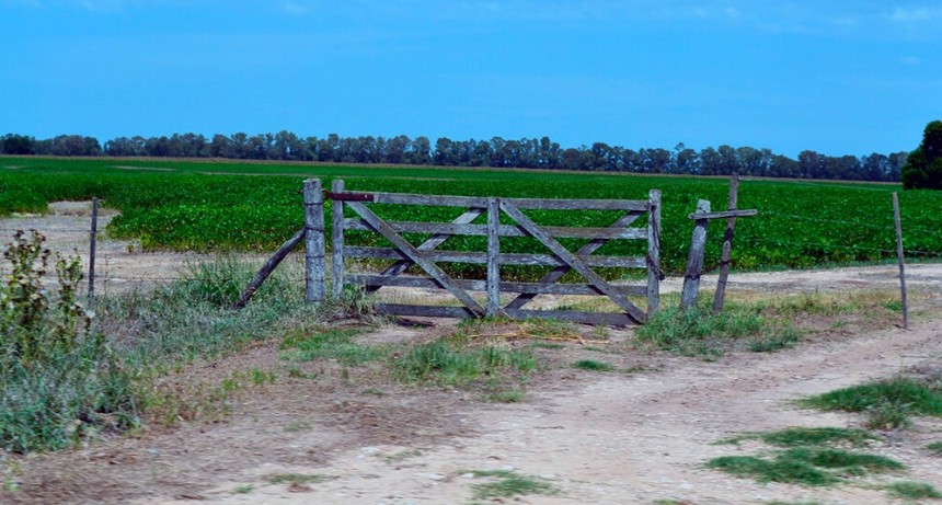 Inmobiliario Rural: productores de Buenos Aires alertan por aumentos que podrían llegar al 200%